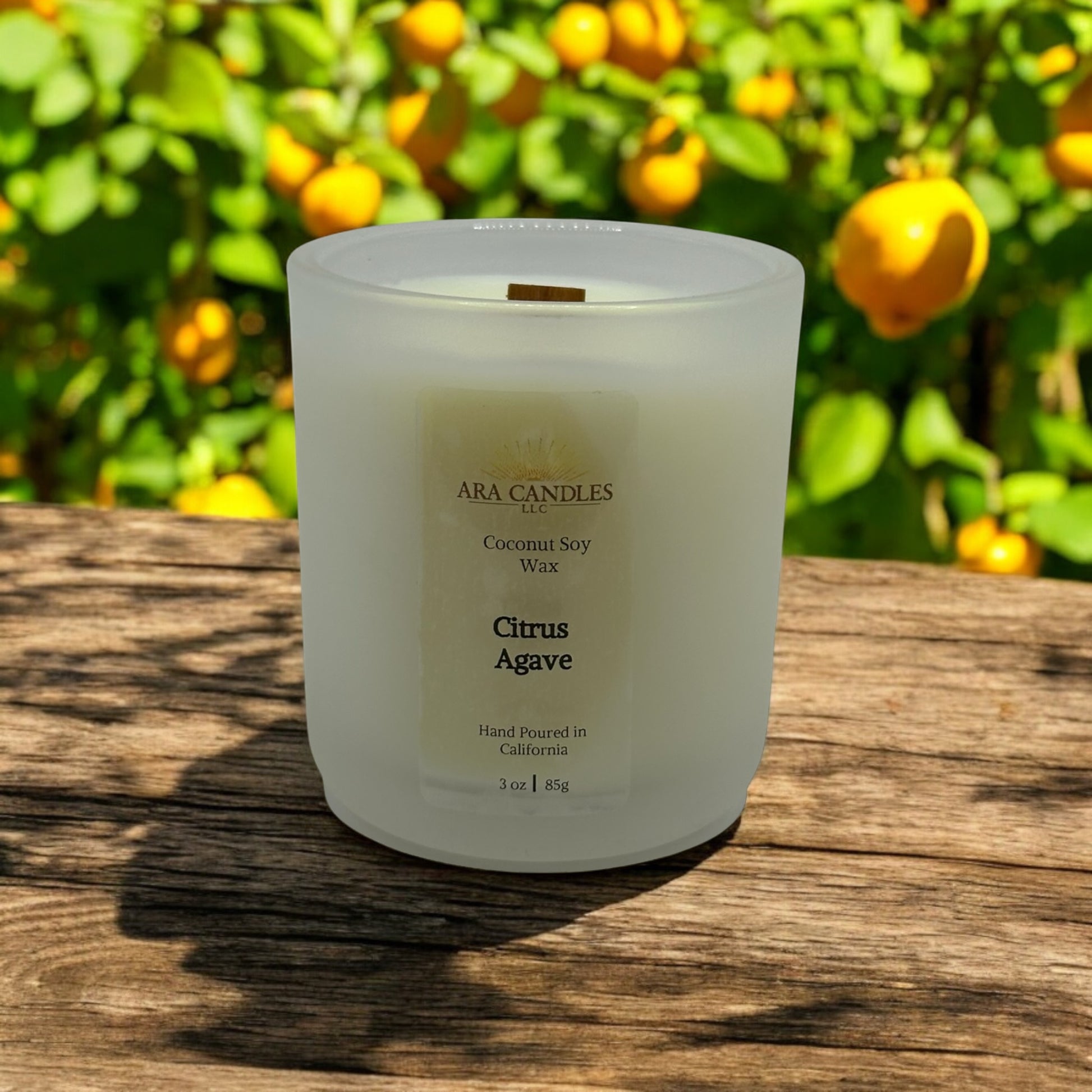 Citrus Agave 3 oz scented candle offering a refreshing citrus aroma with sweet agave notes, perfect for a bright, uplifting atmosphere